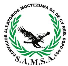 logo-samsa